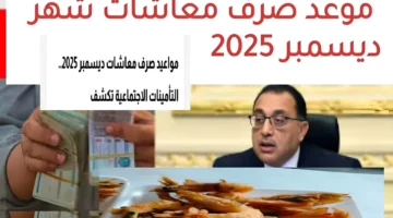 معاشات ديسمبر تصل البنوك.. 13 مليون مستفيد يستعدون للدفعة الأخيرة للسنة